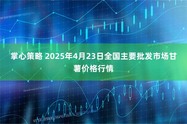 掌心策略 2025年4月23日全国主要批发市场甘薯价格行情